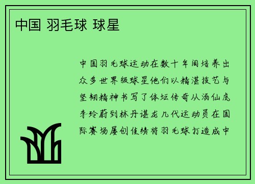 中国 羽毛球 球星