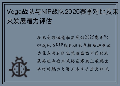 Vega战队与NiP战队2025赛季对比及未来发展潜力评估